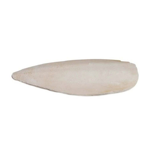 Prevue Cuttlebone Birdie Basics Large 6" Long Bulk 5 lbs by Prevue