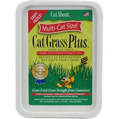 Gimborn Cat-A'bout Cat Grass Plus Multi-Cat 1 count by Gimborn