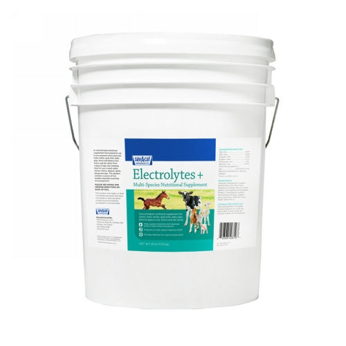 Electrolytes + 25 Lbs by Sav-A-Caf