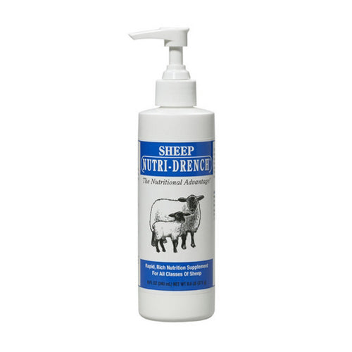 Sheep Nutri-Drench 8 Oz by Nutri-Drench