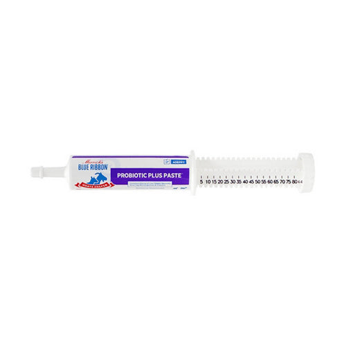 Blue Ribbon Goats Prefer Probiotic Plus Paste 80 cc 1 Count by Merricks