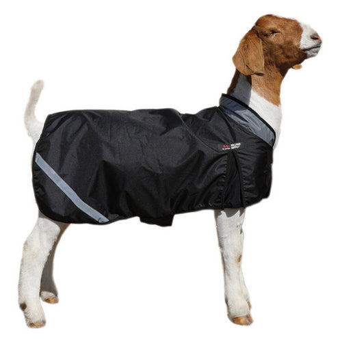 Wether Shield Insulated Goat Blanket Large 1 Count by Sullivan Supply, Inc.