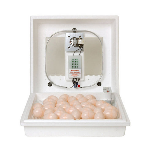 Miller Little Giant, Circulated Air Incubator, 1 Each