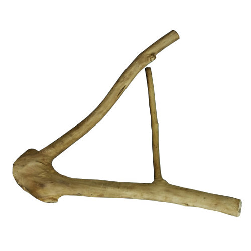 A&E Cage Company, Small Multi-Branch 16” X 1.2”, 1 Each