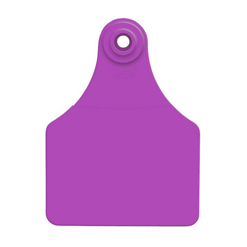 Allflex Global Large Blank Tags Purple 25's 1 Count by Allflex