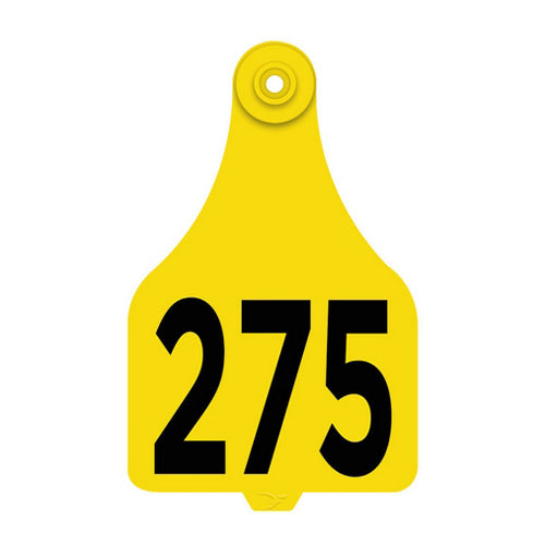 DuFlex Extra Large Numbered Tags 251-275 Yellow 1 Count by Destron Fearing Duflex