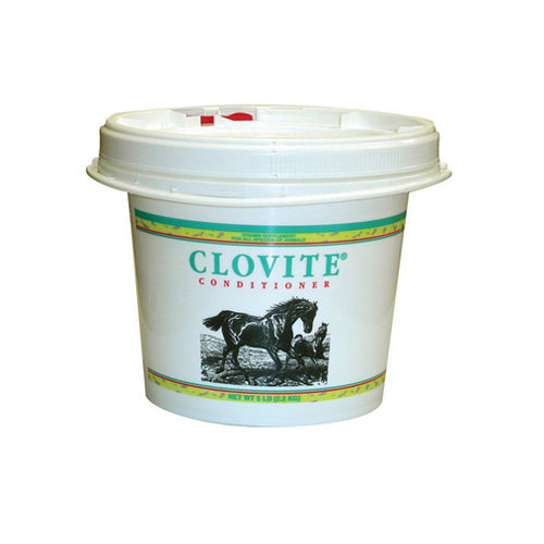 Clovite Conditioner For All Species 5 Lbs by Zoetis