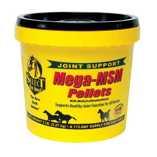 Mega-Msm Horse Joint Supplement 5 Lbs by Select The Best