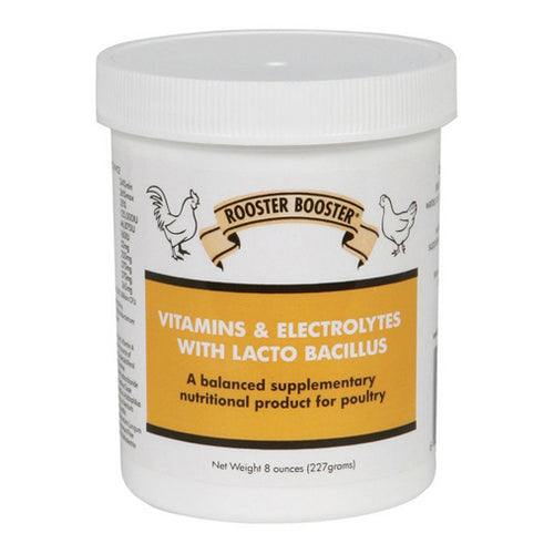 Vitamins & Electrolytes With Lactobacillus For Poultry 8 Oz by Rooster Booster