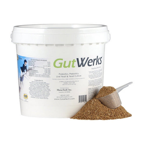 Gutwerks Digestive Horse Supplement 5 Lbs by Horse Tech, Inc.