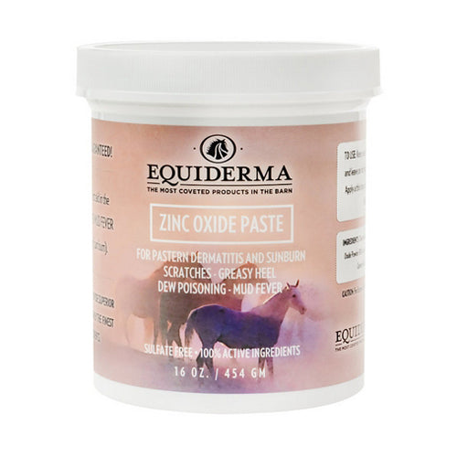 Equiderma, Zinc Oxide Paste For Dermatitis And Sunbrn, 16 Oz