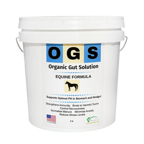 Organic Gut Solution Equine Formula 6 Lbs by Organic Gut Solution