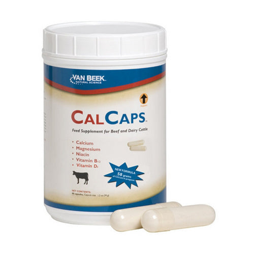 CalCaps Feed Supplement for Beef and Dairy Cattle 40 Count by Van Beek