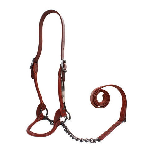 1st Class Leather Show Halter Medium Brown 1 Count by Sullivan Supply, Inc.
