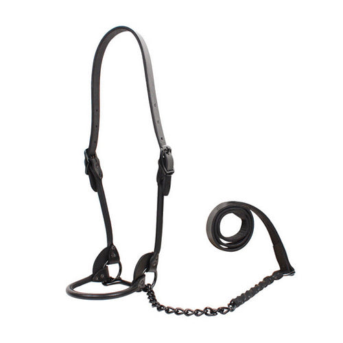 1st Class Leather Show Halter Large Black 1 Count by Sullivan Supply, Inc.
