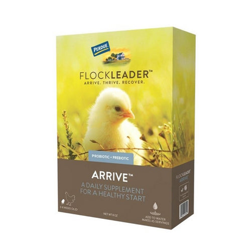 FlockLeader ARRIVE Poultry Supplement 8 Oz by Flockleader