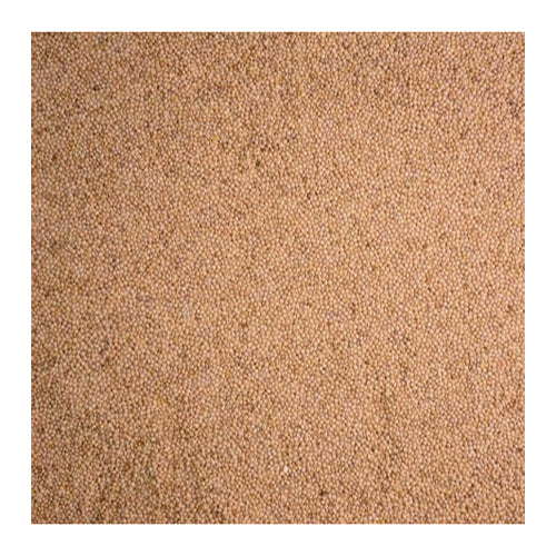 Volkman Seed Company Winner's Cup Single Seed Proso Millet 1 Each/25 lb by Volkman Seed Company