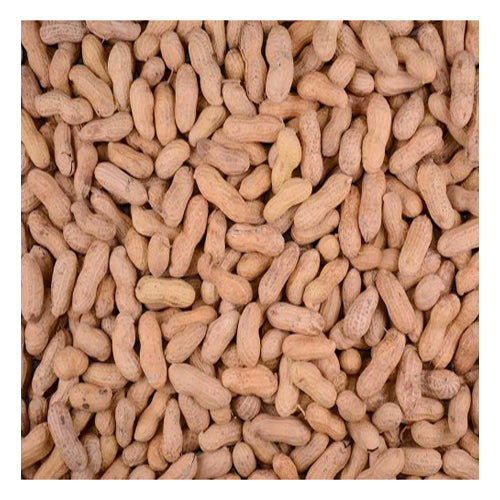 Volkman Seed Company Winner's Cup Single Seed Peanuts In Shell Bird Food 1 Each/25 lb by Volkman Seed Company