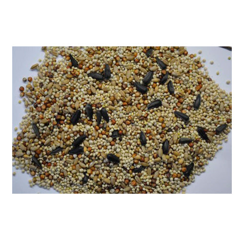 Volkman Seed Company Phoenix Wildbird Mixed Seed Food 1 Each/20 lb by Volkman Seed Company