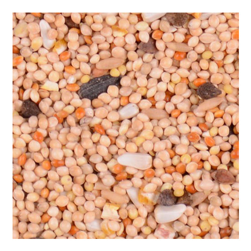 Volkman Seed Company Bird's Delight Cockatiel Fancy (Sunflower) Food 1 Each/20 lb by Volkman Seed Company