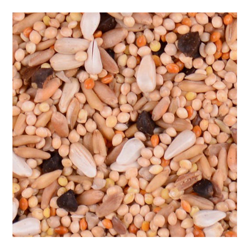 Volkman Seed Company Bird's Delight Cockatiel & Lovebird Premium Food 1 Each/20 lb by Volkman Seed Company