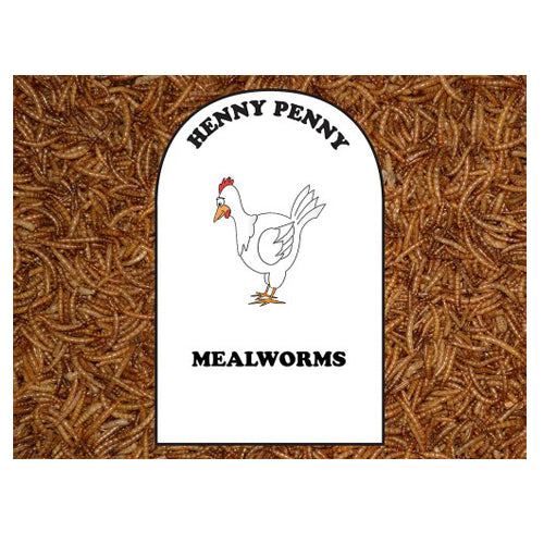 Volkman Seed Company Mealworms Chicken Food 1 Each/1.25 lb by Volkman Seed Company