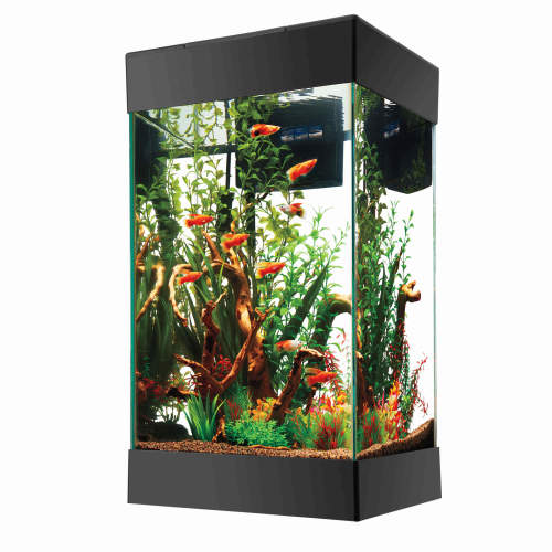 Aqueon Aquarium Starter Kit with LED Lighting 1 Each/15 Column, Wrapped by Aqueon