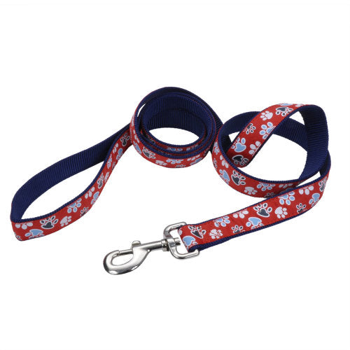 Ribbon, Ribbon Nylon Dog Leash, Red, 1 Each/1 In X 6 ft