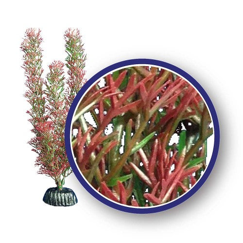 Weco, Weco Products Freshwater Series Foxtail Aquarium Plant, Red, 1 Each/6 in