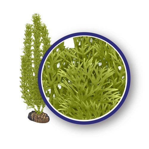 Weco, Weco Products Freshwater Series Foxtail Aquarium Plant, Green, 1 Each/6 in