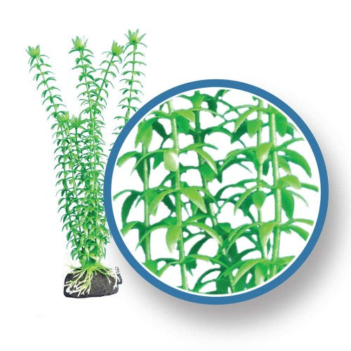 Weco, Weco Products Freshwater Pro Series Tonina Aquarium Plant, Green, 1 Each/6 in