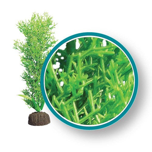 Weco, Weco Products Marine Pro Series Bushy Kelp Aquarium Plant, Green, 1 Each/6 in
