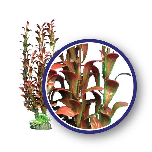 Weco, Weco Products Freshwater Series Hygrophilia Aquarium Plant, Red, 1 Each/9 in