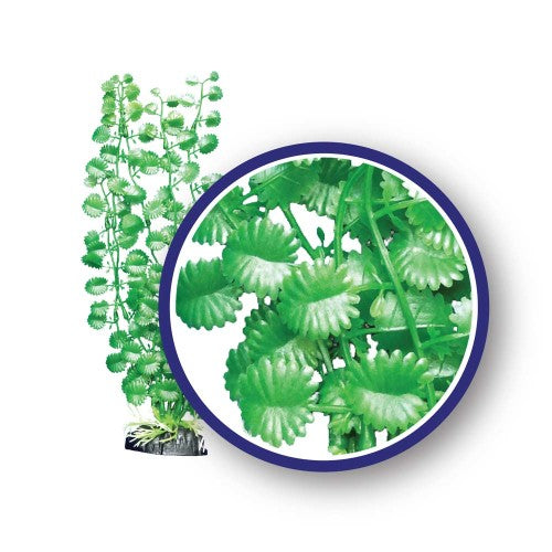 Weco, Weco Products Freshwater Series Japanese Cress Aquarium Plant, Green, 1 Each/9 in