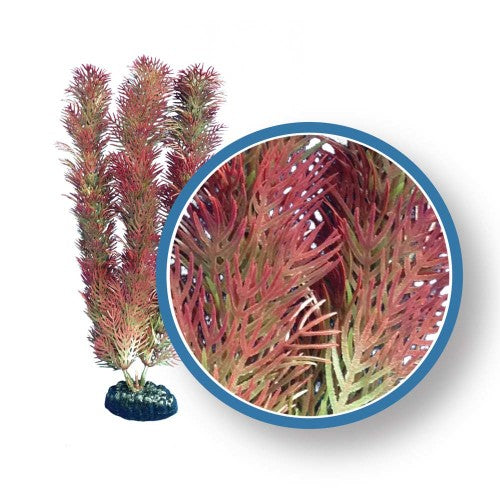 Weco, Weco Products Freshwater Pro Series Cabomba Aquarium Plant, Red, 1 Each/9 in