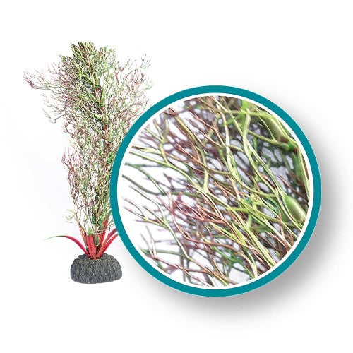 Weco, Weco Products Marine Pro Series Fine Branch Kelp Aquarium Plant, Green, 1 Each/12 in