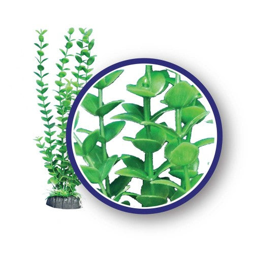 Weco Products Freshwater Series Bacopa Aquarium Plant Green, 1 Each/18 in by Weco