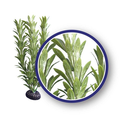 Weco Products Freshwater Series Anacharis Aquarium Plant Green, 1 Each/18 in by Weco