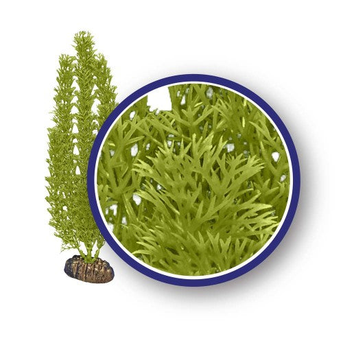 Weco, Weco Products Freshwater Series Foxtail Aquarium Plant, Green, 1 Each/18 in