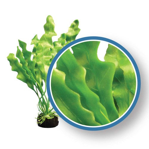 Weco Products Freshwater Pro Series Amazon Ruffled Sword Aquarium Plant Green, 1 Each/18 in by Weco