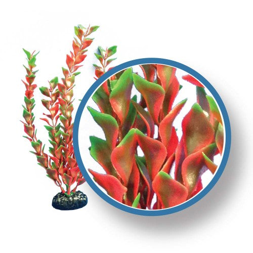 Weco Products Freshwater Pro Series Ludwigia Aquarium Plant Red, 1 Each/18 in by Weco