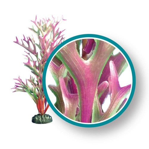 Weco Products Marine Pro Series Giant Kelp Aquarium Plant Red, 1 Each/18 in, Giant by Weco