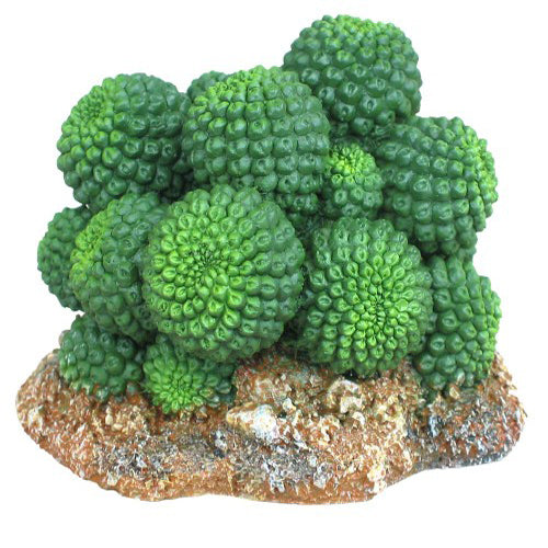 Weco, Weco Products Wecorama Badlands Sonoran Cactus Terrarium Ornament, Brown, Green, 1 Each/2.92 in