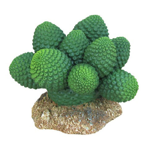 Weco, Weco Products Wecorama Badlands Pointed Sonoran Cactus Terrarium Ornament, Brown, Green, 1 Each/3 in