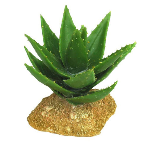 Weco, Weco Products Wecorama Badlands Aloe Vera Terrarium Ornament, Brown, Green, 1 Each/5 in