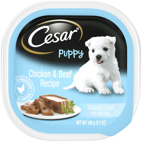 Cesar, Cesar Classic Loaf in Sauce Puppy Wet Dog Food, Chicken & Beef, 24Each/3.5 Oz, 24 Pack (Count of 24)