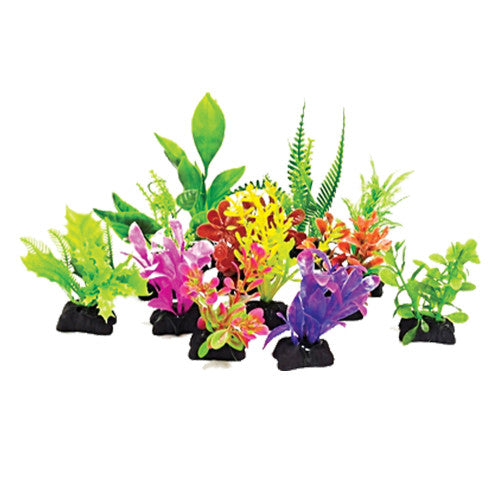 Aquatop Aquarium Plants Mix Assorted, 1 Each/3 in, 12 Pack by Aquatop