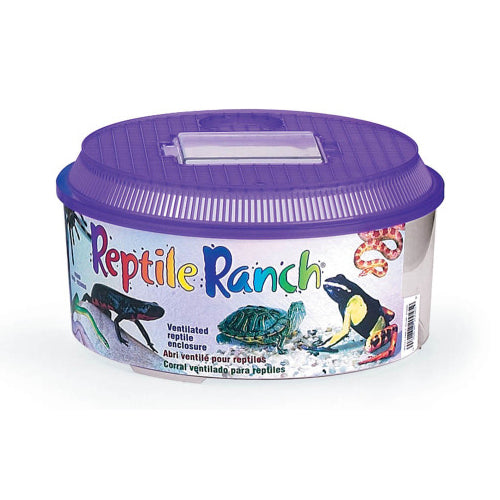 Lee's Aquarium & Pet Products, Lee's Aquarium & Pet Products Round Reptile Ranch, Purple, Clear, 1 Each/10.37 In X 5.5 in