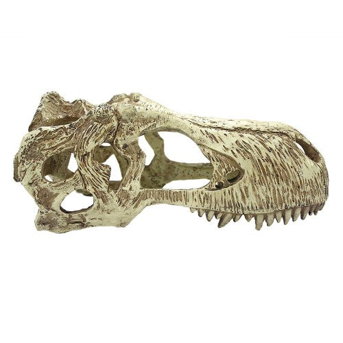 Komodo, Komodo T-Rex Skull Reptile Hideout, Tan, 1 Each/XL