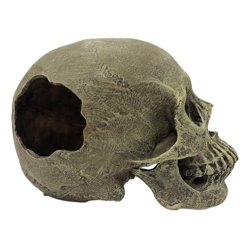 Komodo, Komodo Full Human Skull Reptile Hideout, Gray, 1 Each/One Size